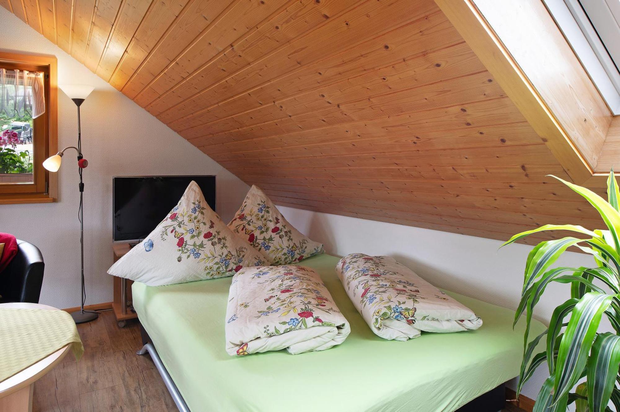 Ferienwohnung Blasi Mit Alpensicht Ibach Zewnętrze zdjęcie